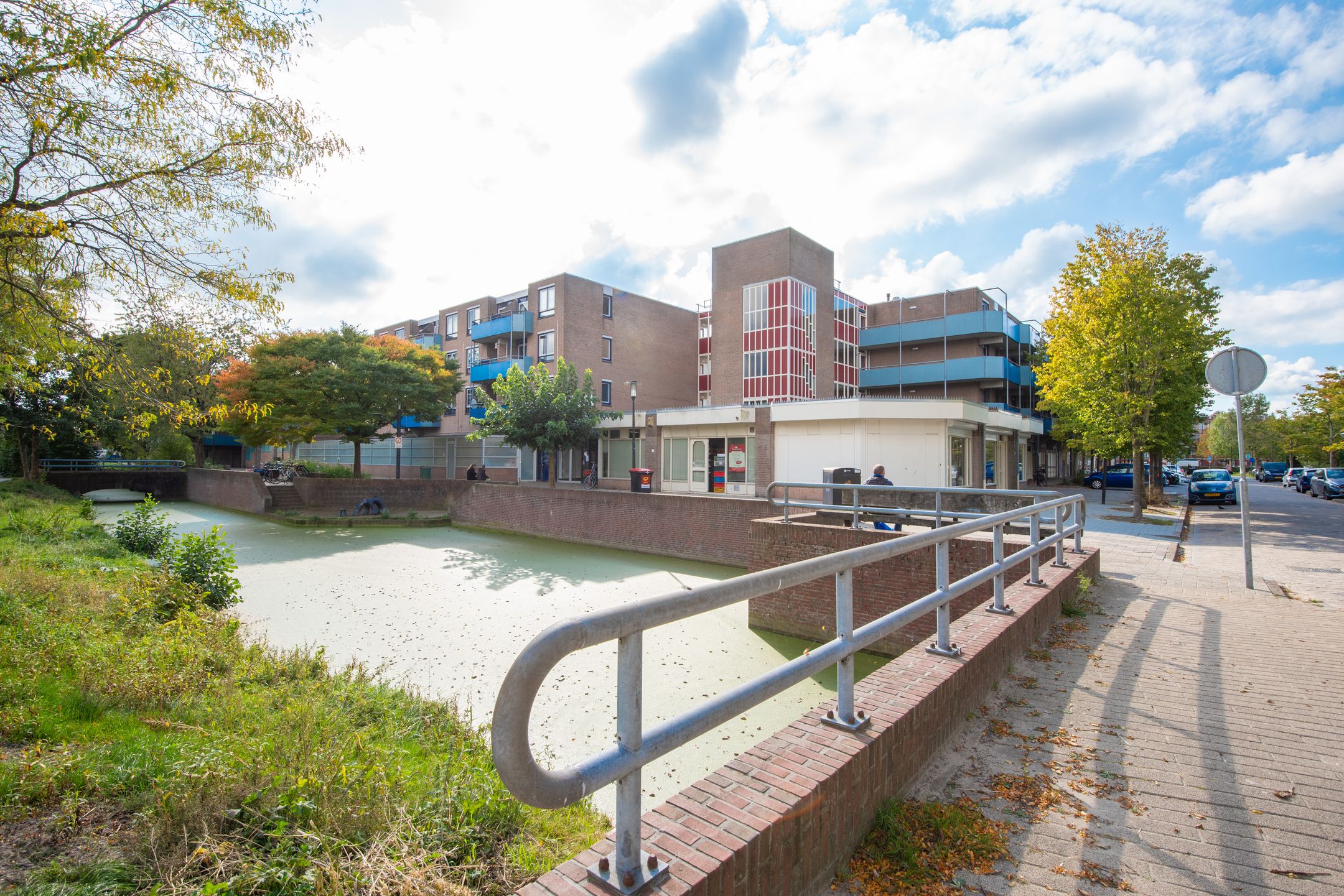 Foto 27 van Korenbloem 101