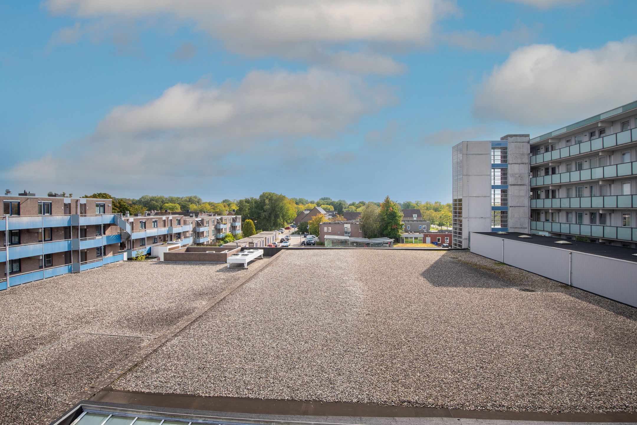 Foto 21 van Korenbloem 101