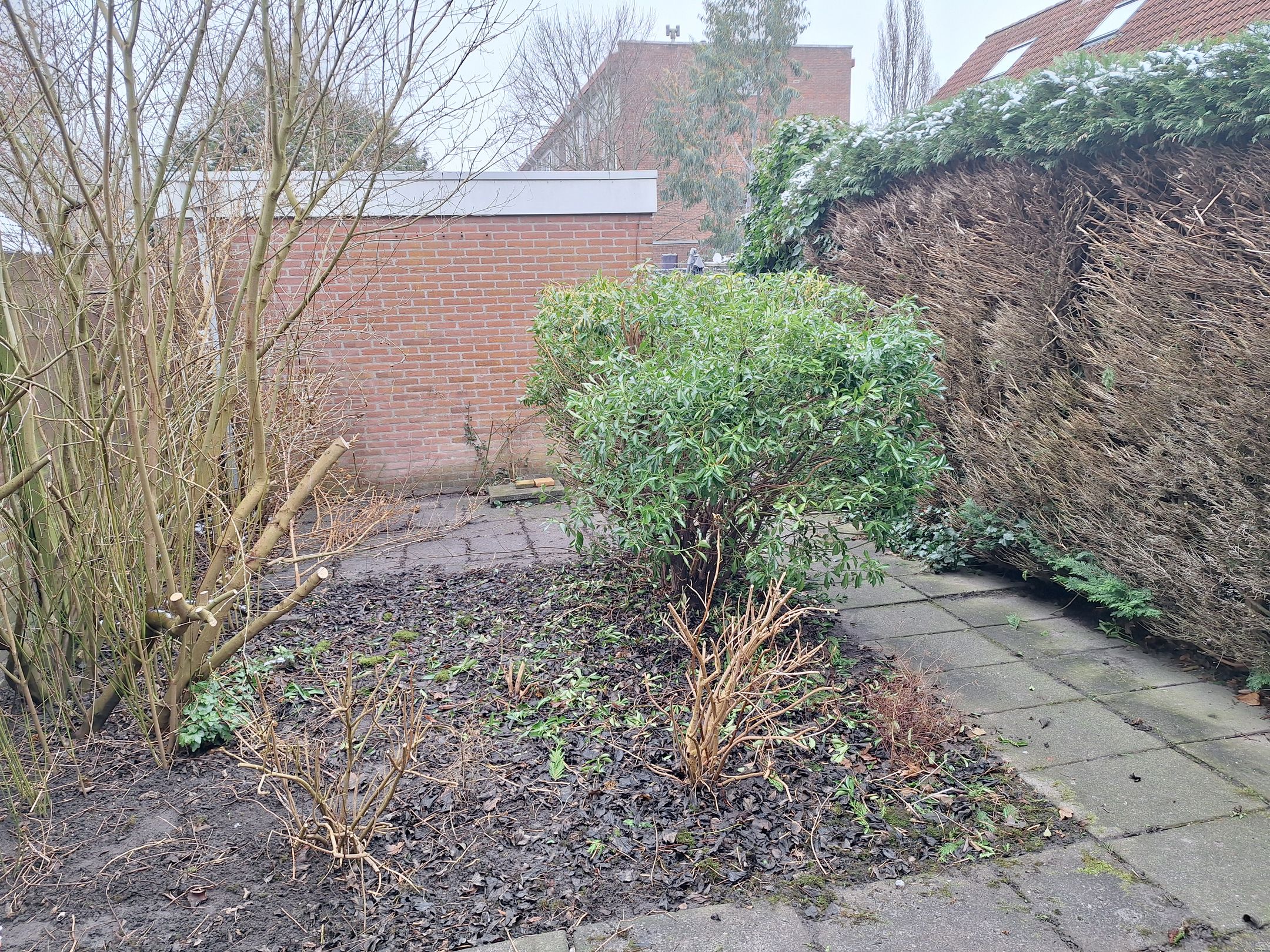 Foto 12 van Drieboomlaan 181