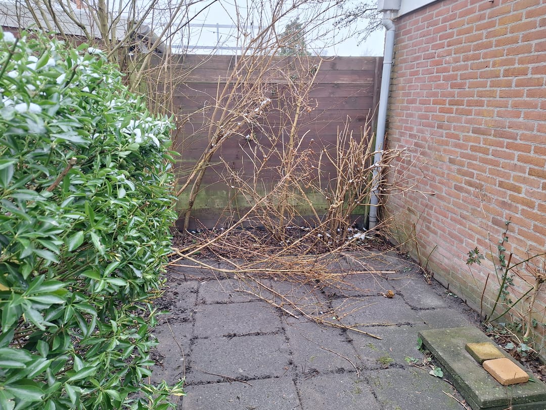 Foto 13 van Drieboomlaan 181