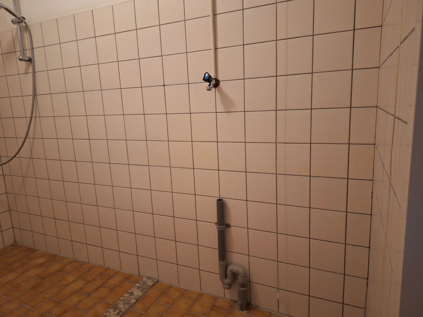 Foto 25 van Drieboomlaan 181