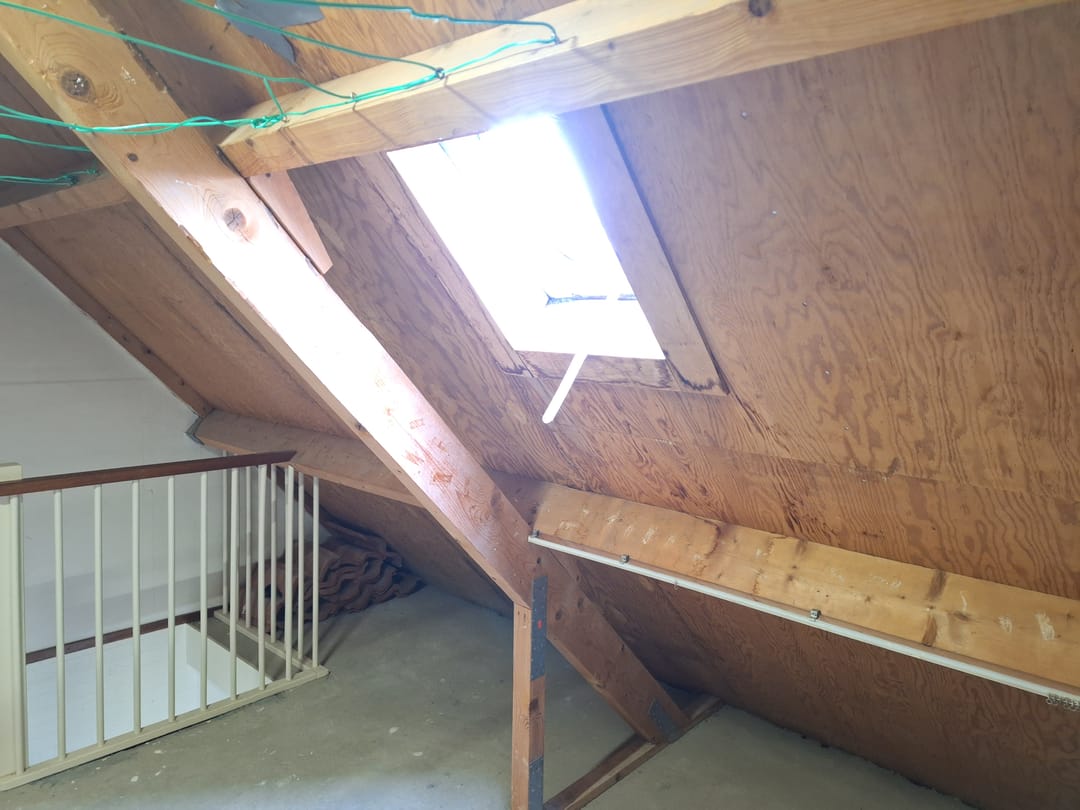 Foto 31 van Drieboomlaan 181