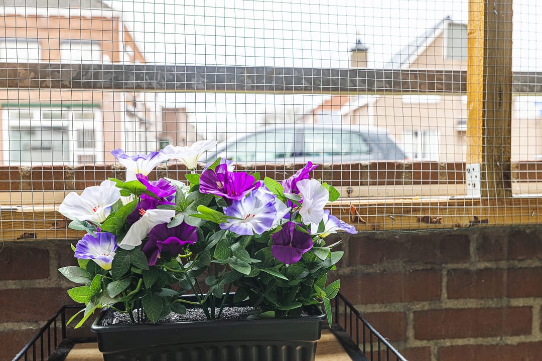 Foto 22 van Stoopstraat 2-C