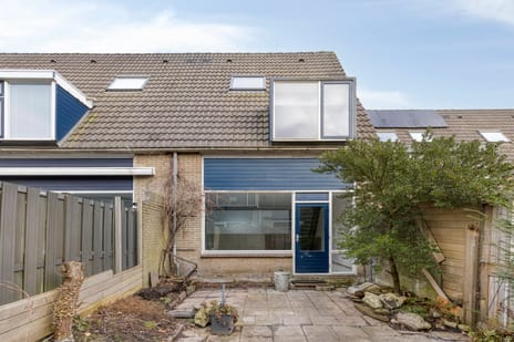 undefined main image