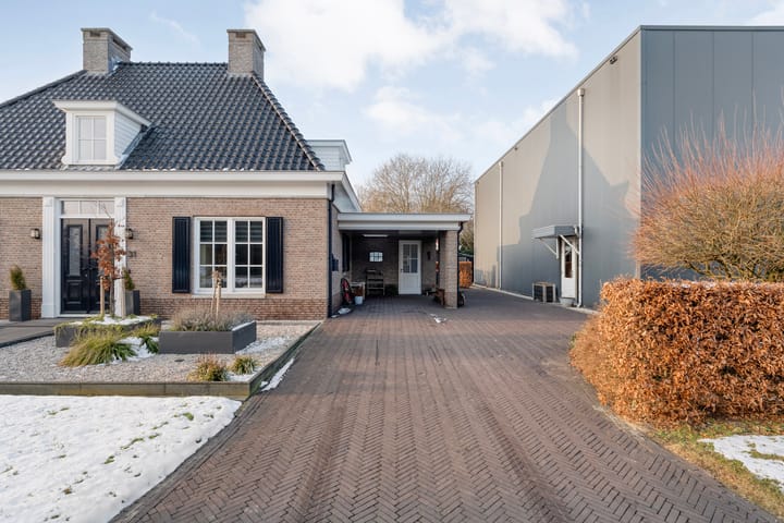 Photo 12 of Koningsspil 31