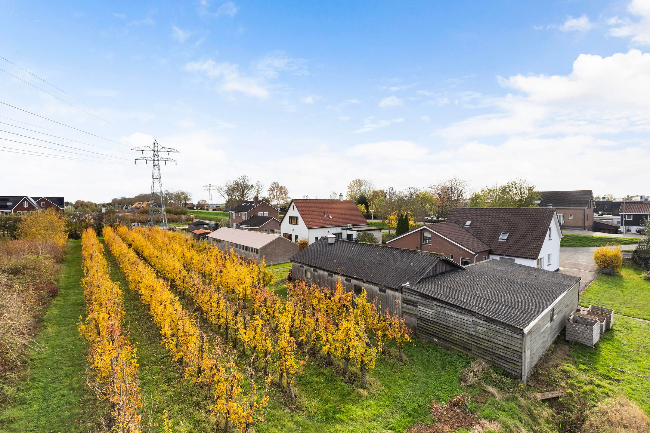 Foto 54 van Oud-Cromstrijensedijk OZ 42