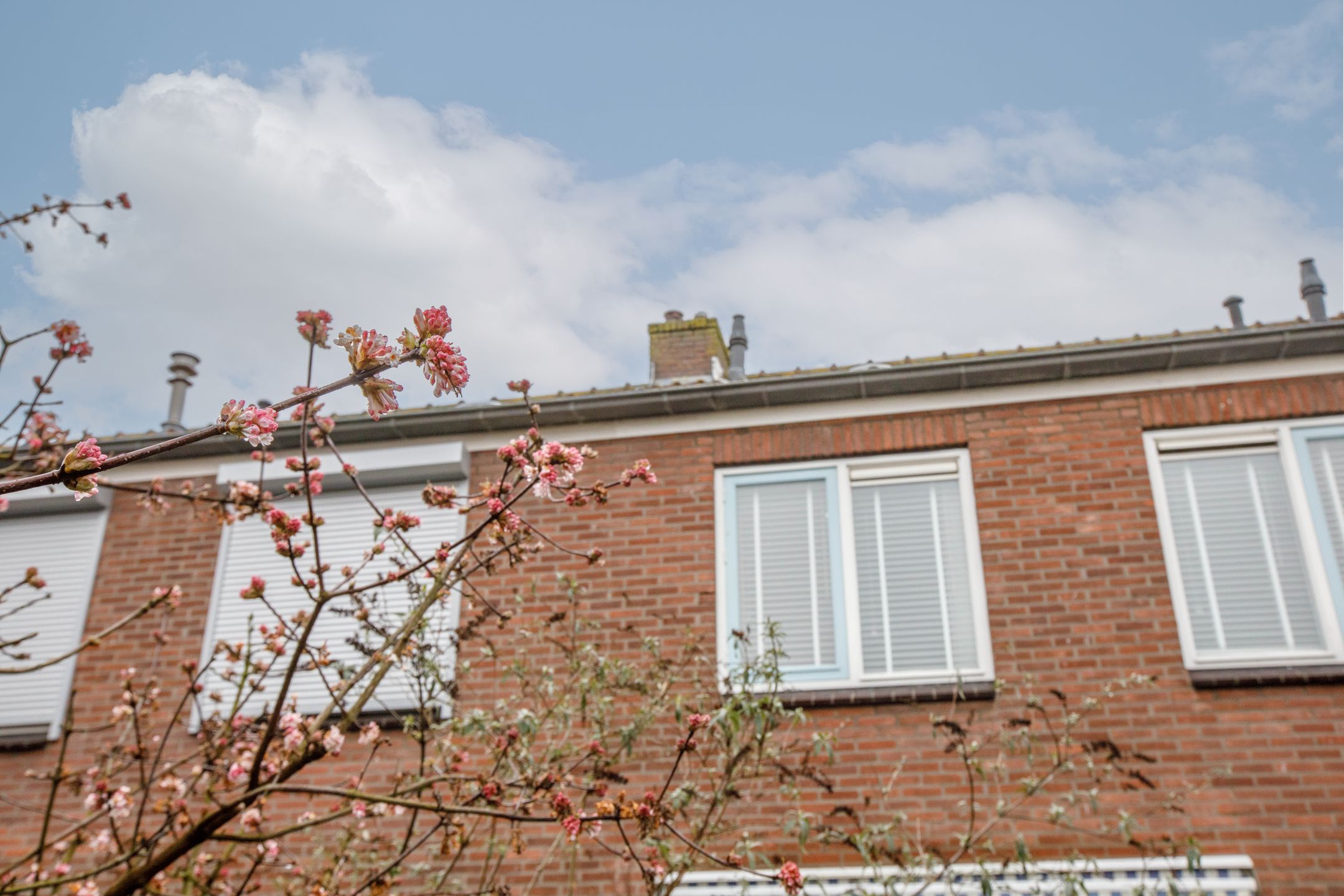 Photo 24 of Burgemeester Klinkhamerweg 58