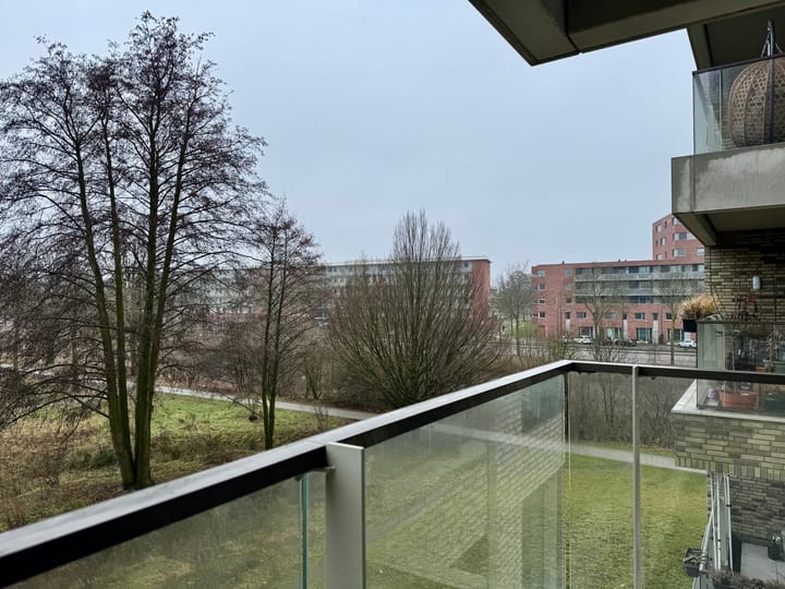 Foto 11 van Aalscholverpad 21