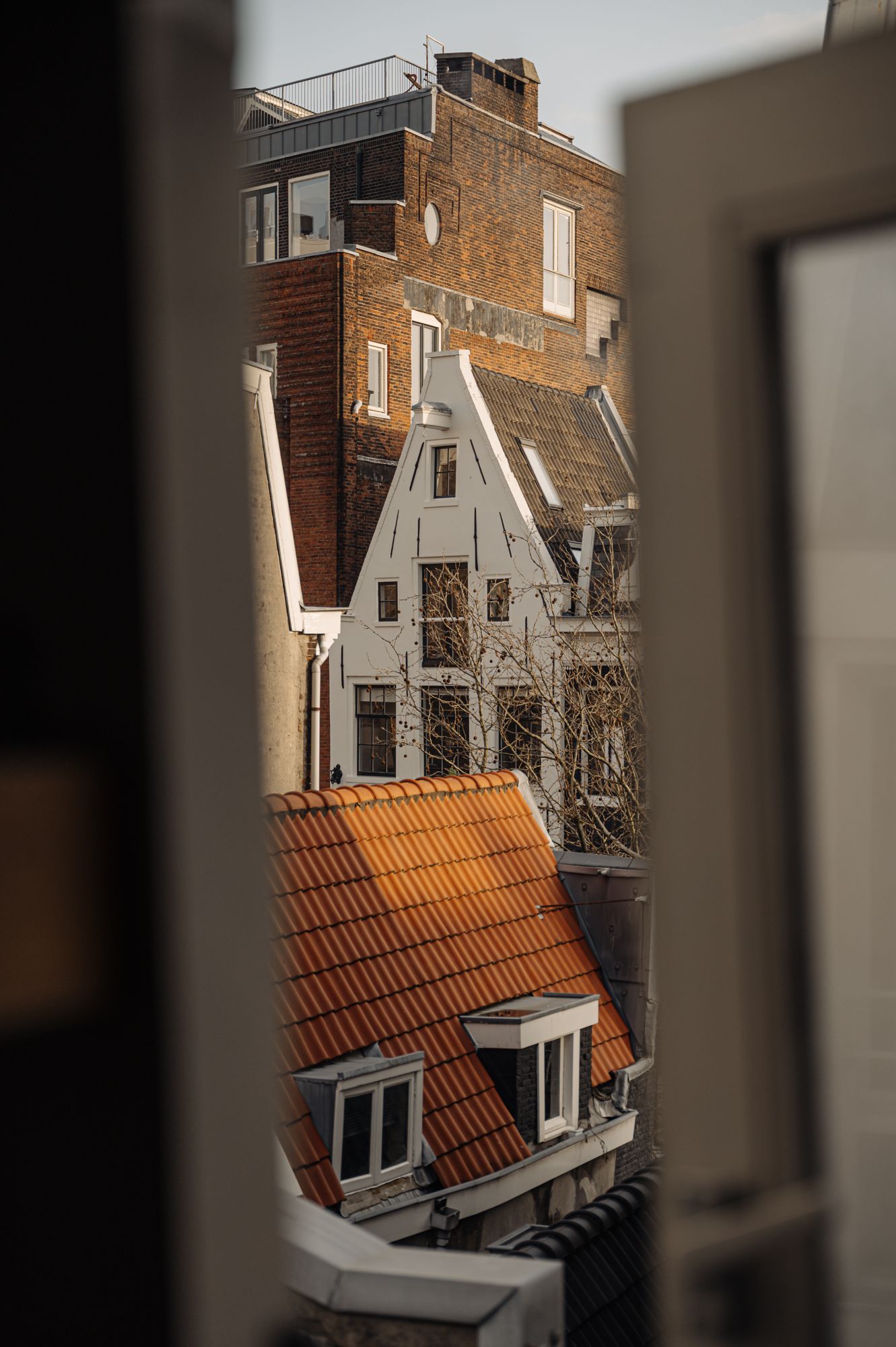 Foto 19 van Singel 369-H