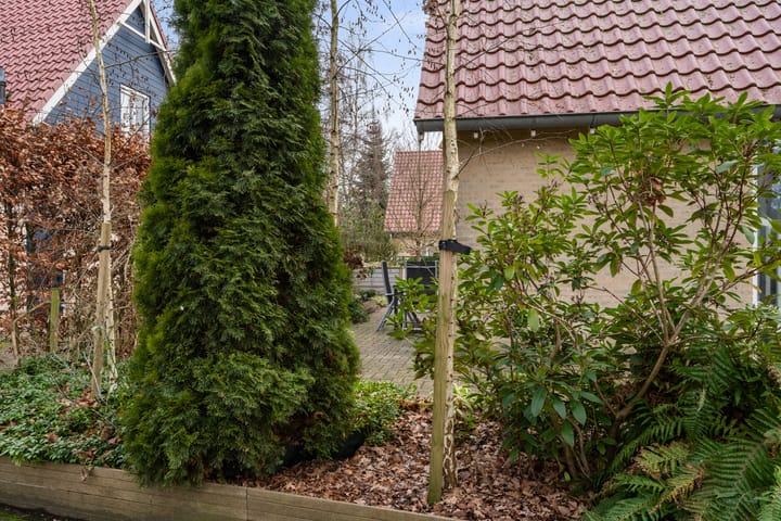 Photo 32 of Gagelmaat 4-74