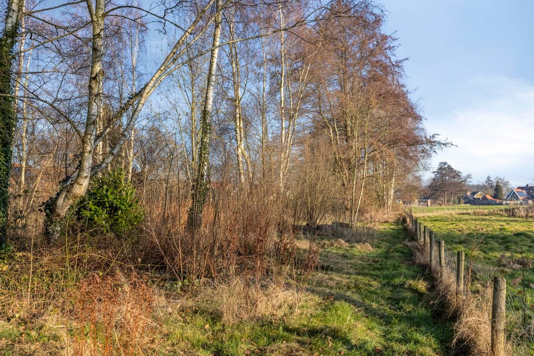 Foto 46 van Zieneschstraat 36