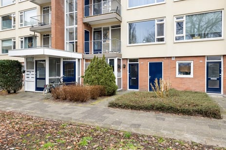 undefined main image