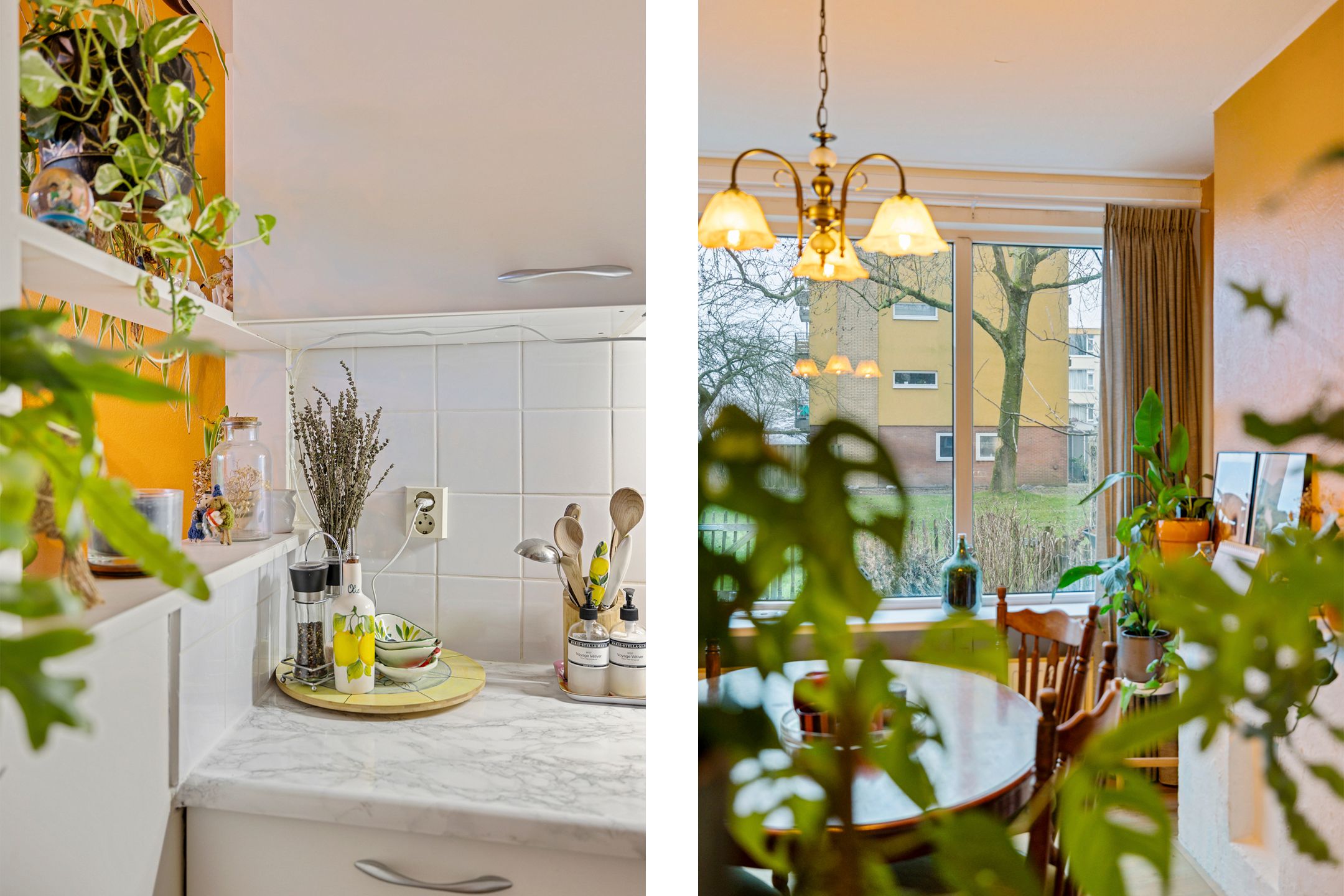 Foto 6 van Nijlânsdyk 189