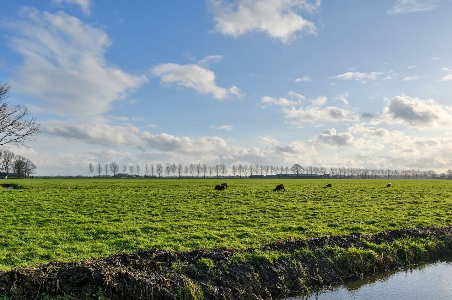 Foto 50 van Oosterlandweg 13