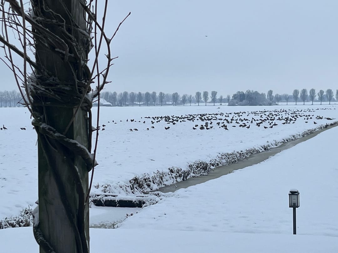 Foto 53 van Oosterlandweg 13