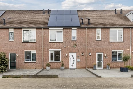 undefined main image