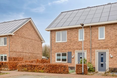 undefined main image