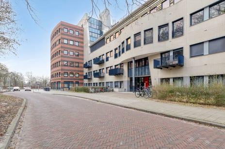 undefined main image