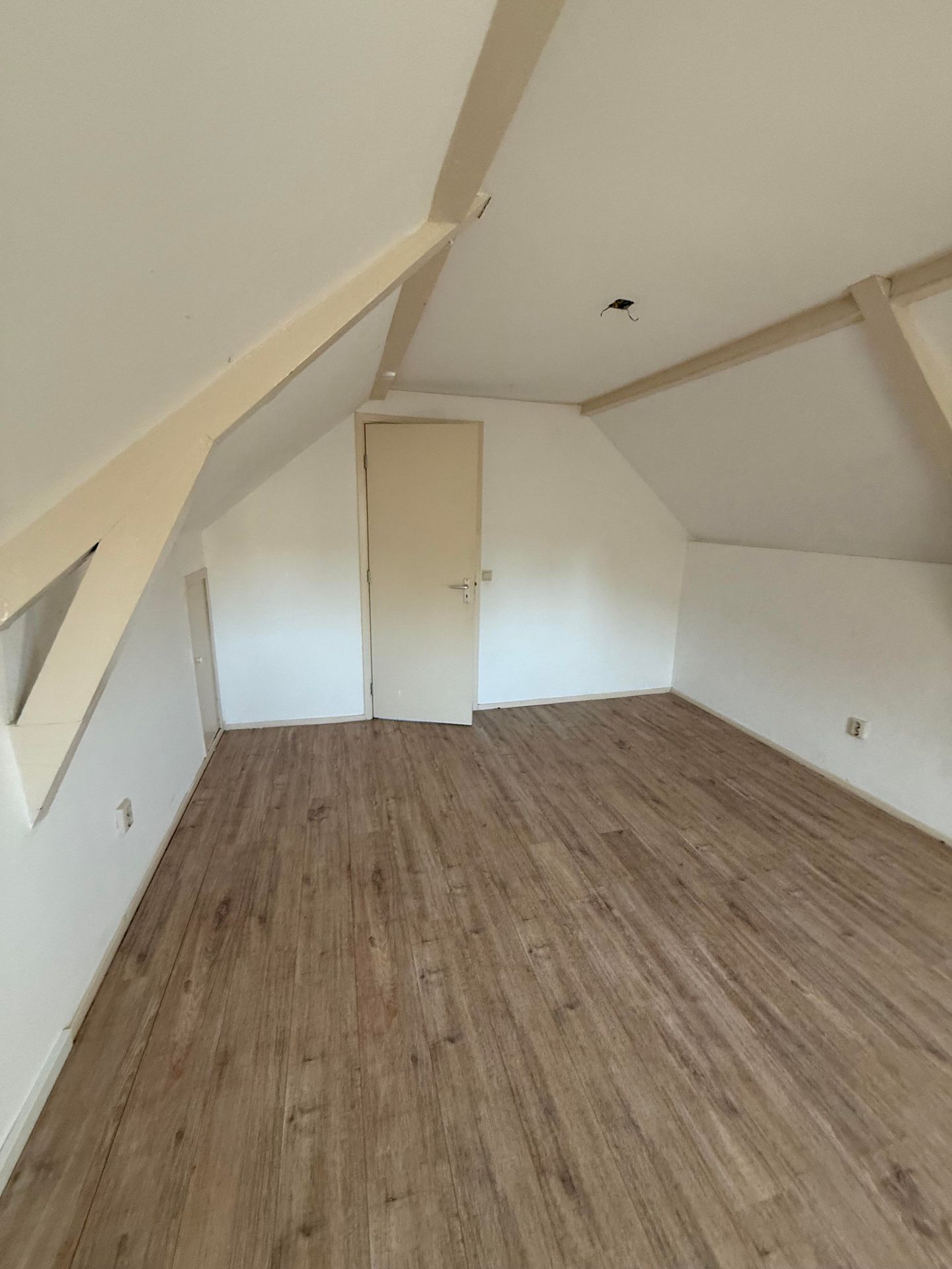 Foto 44 van Broersveld 95-A