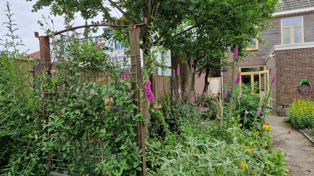 Foto 43 van Beatrixstraat 41