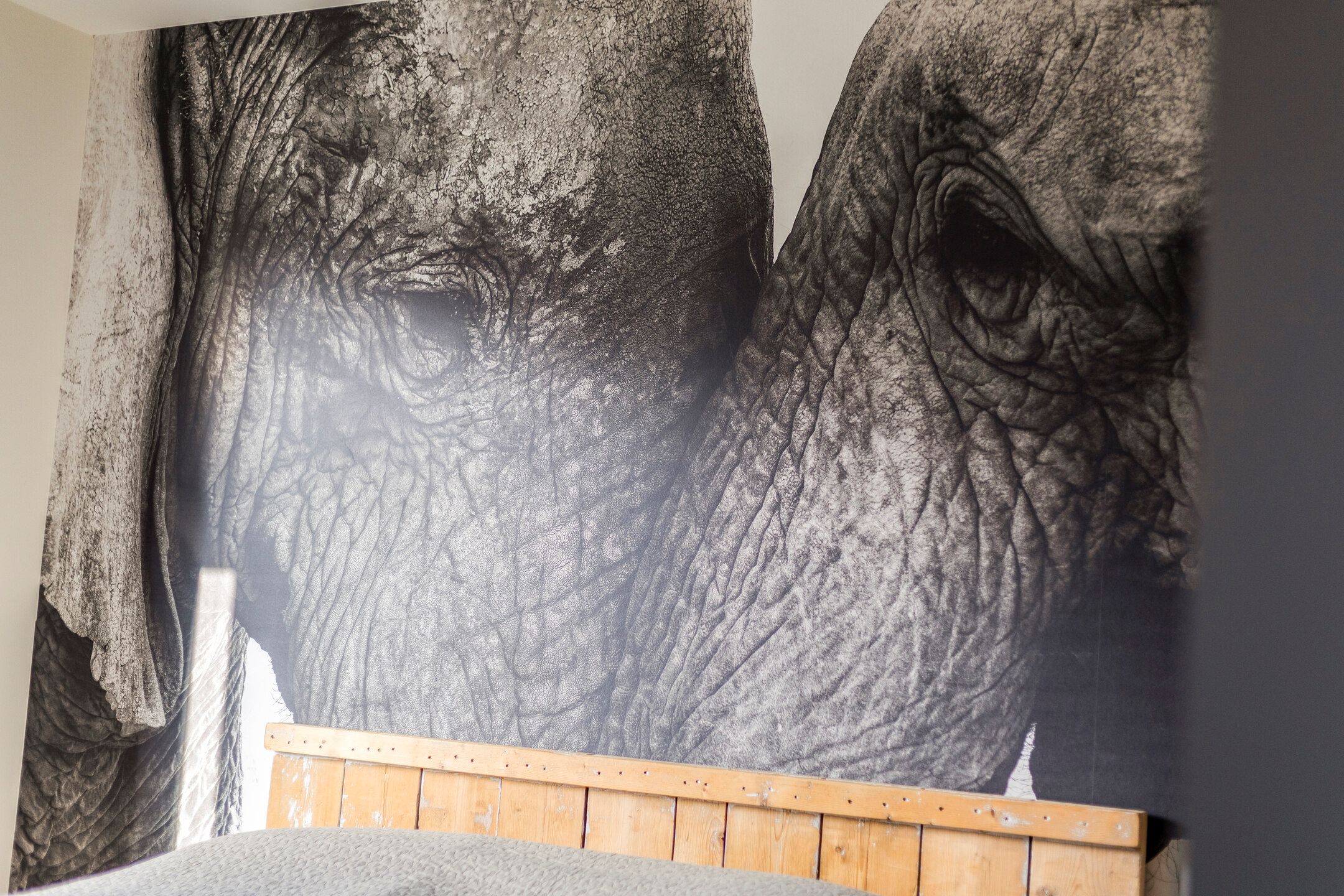 Foto 18 van Het Bosman 34