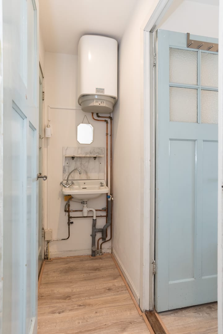 Photo 31 of Linnaeusstraat 243-1