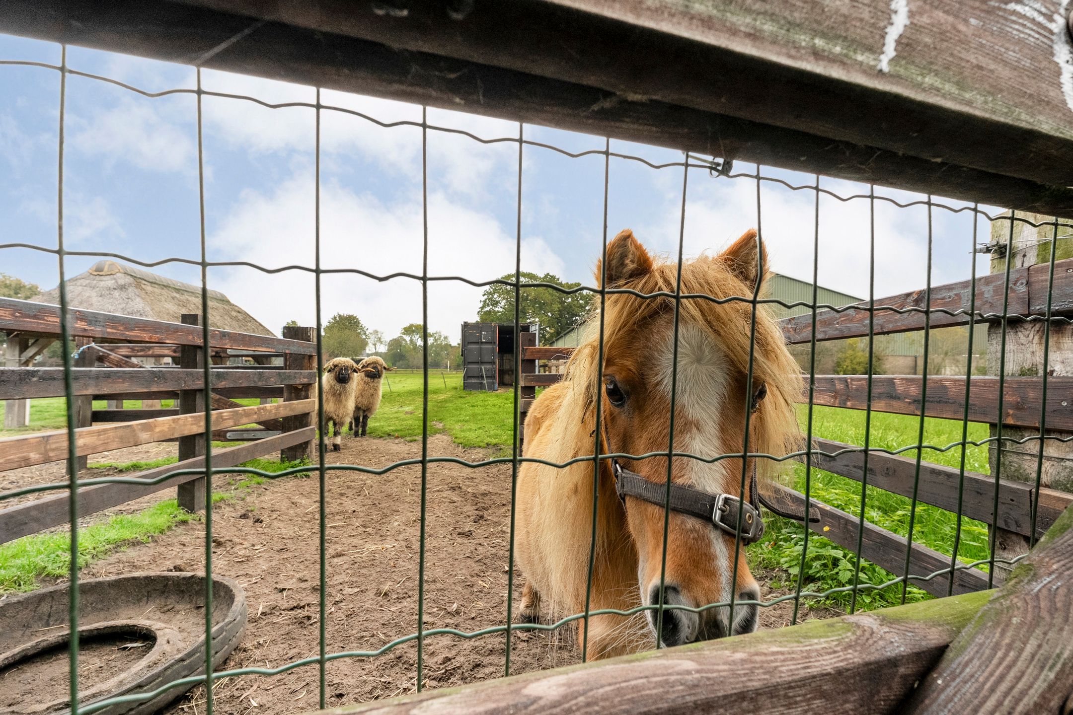 Foto 108 van Anerveenseweg 11