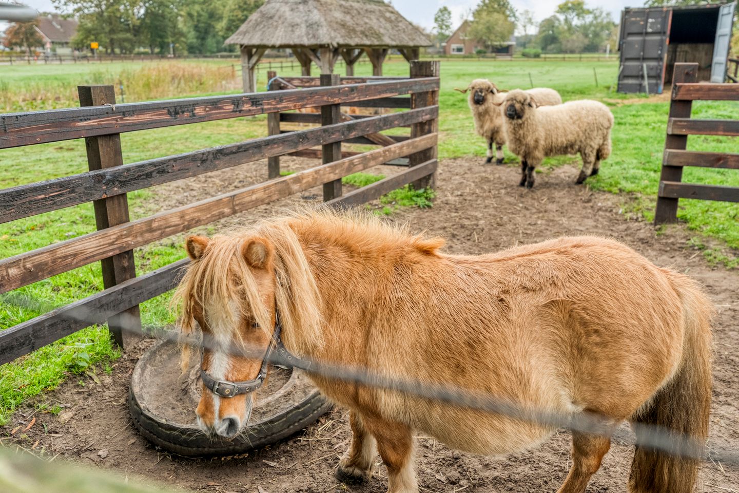 Foto 109 van Anerveenseweg 11