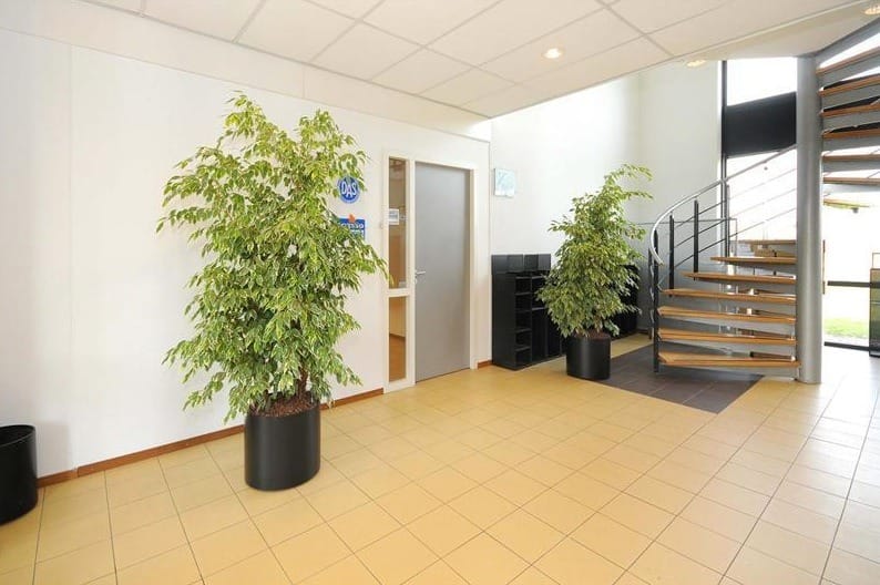 Bekijk foto 5 van Industrieweg Oost 13