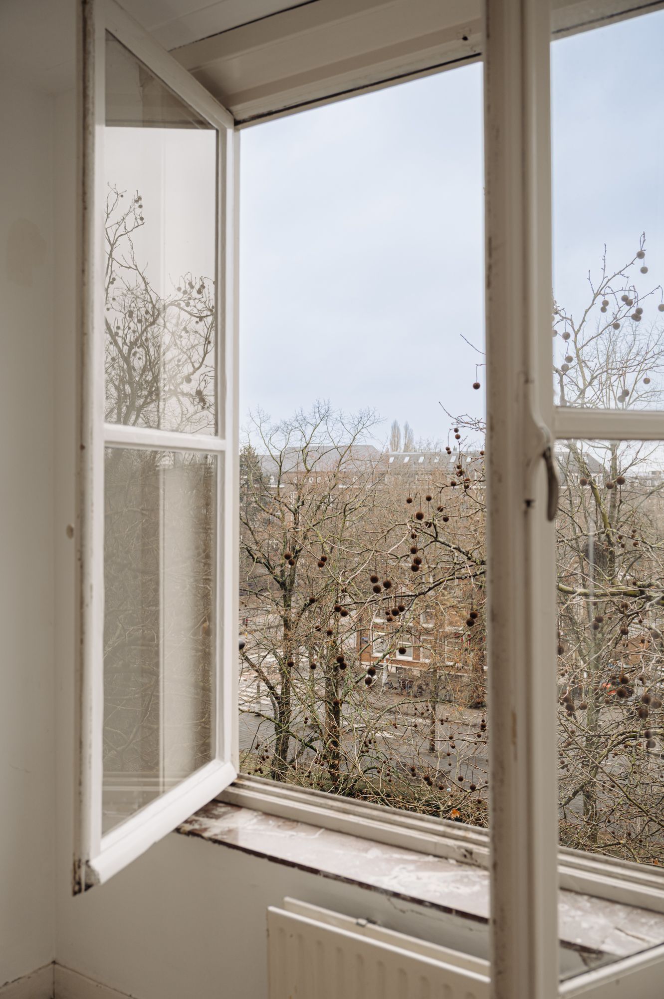 Foto 19 van Apollolaan 77-2