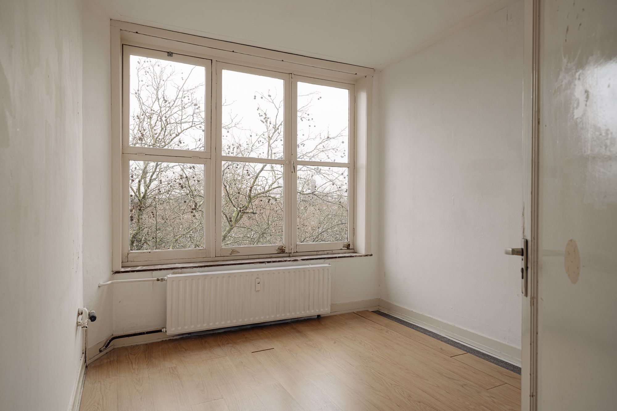 Foto 24 van Apollolaan 77-2