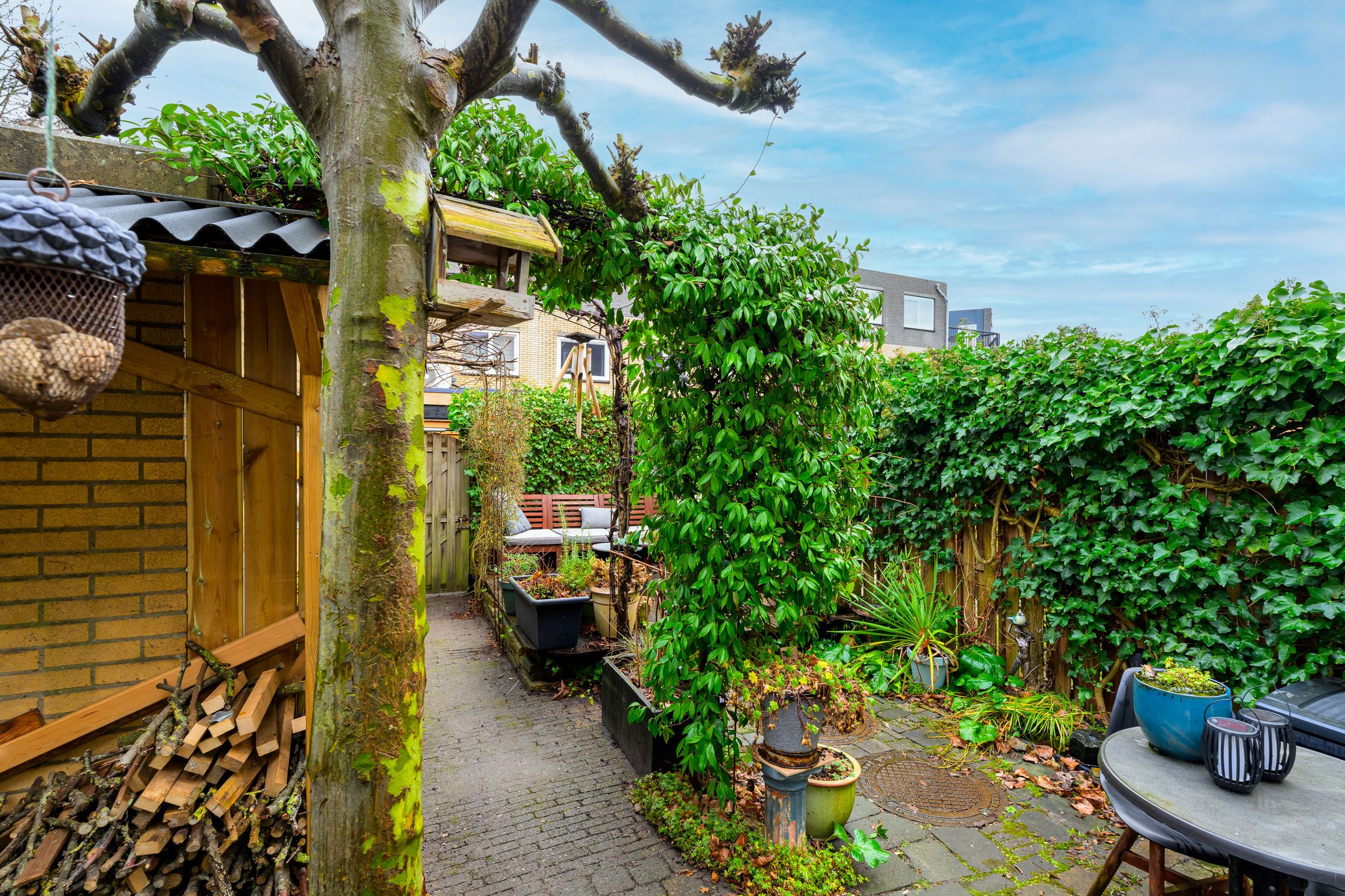 Foto 18 van Oriëntblauw 4