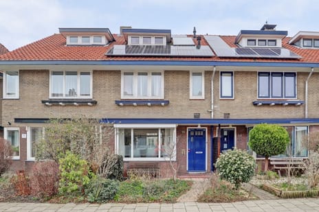 Kamperfoeliestraat thumbnail