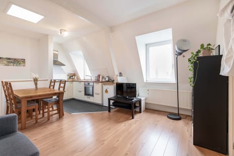 Abraham Bloemaertstraat 23-B secondary image