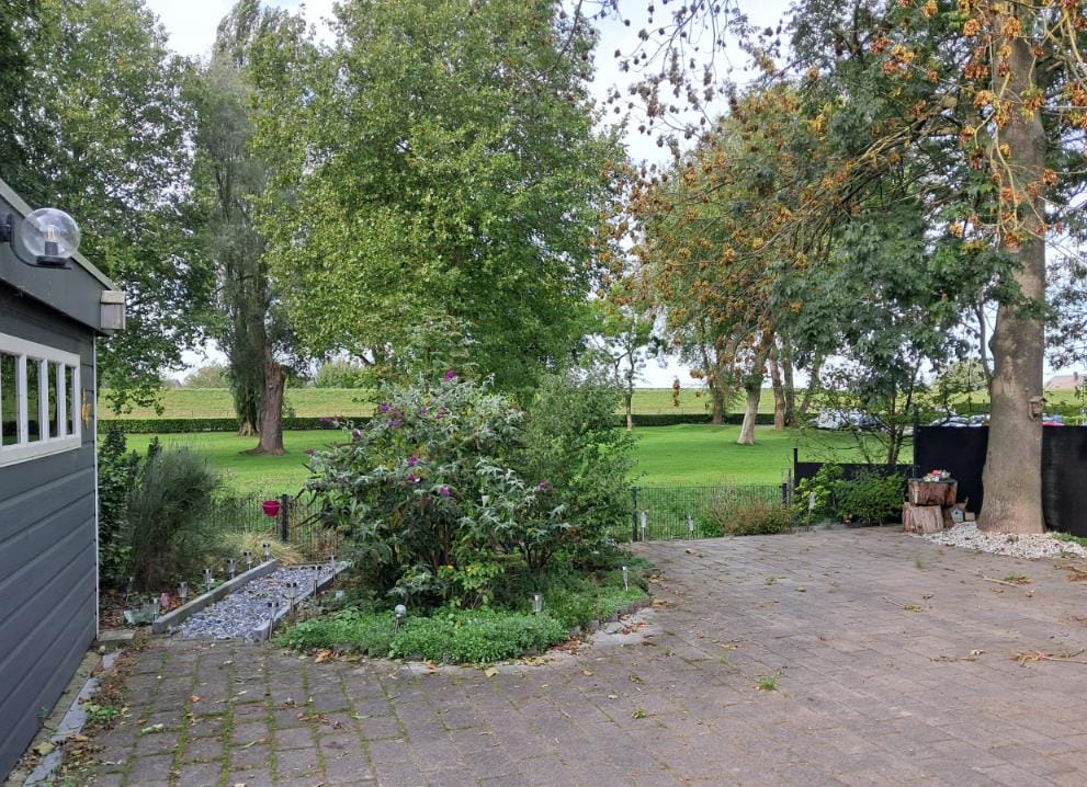 Photo 9 of Bandijk 60-F11