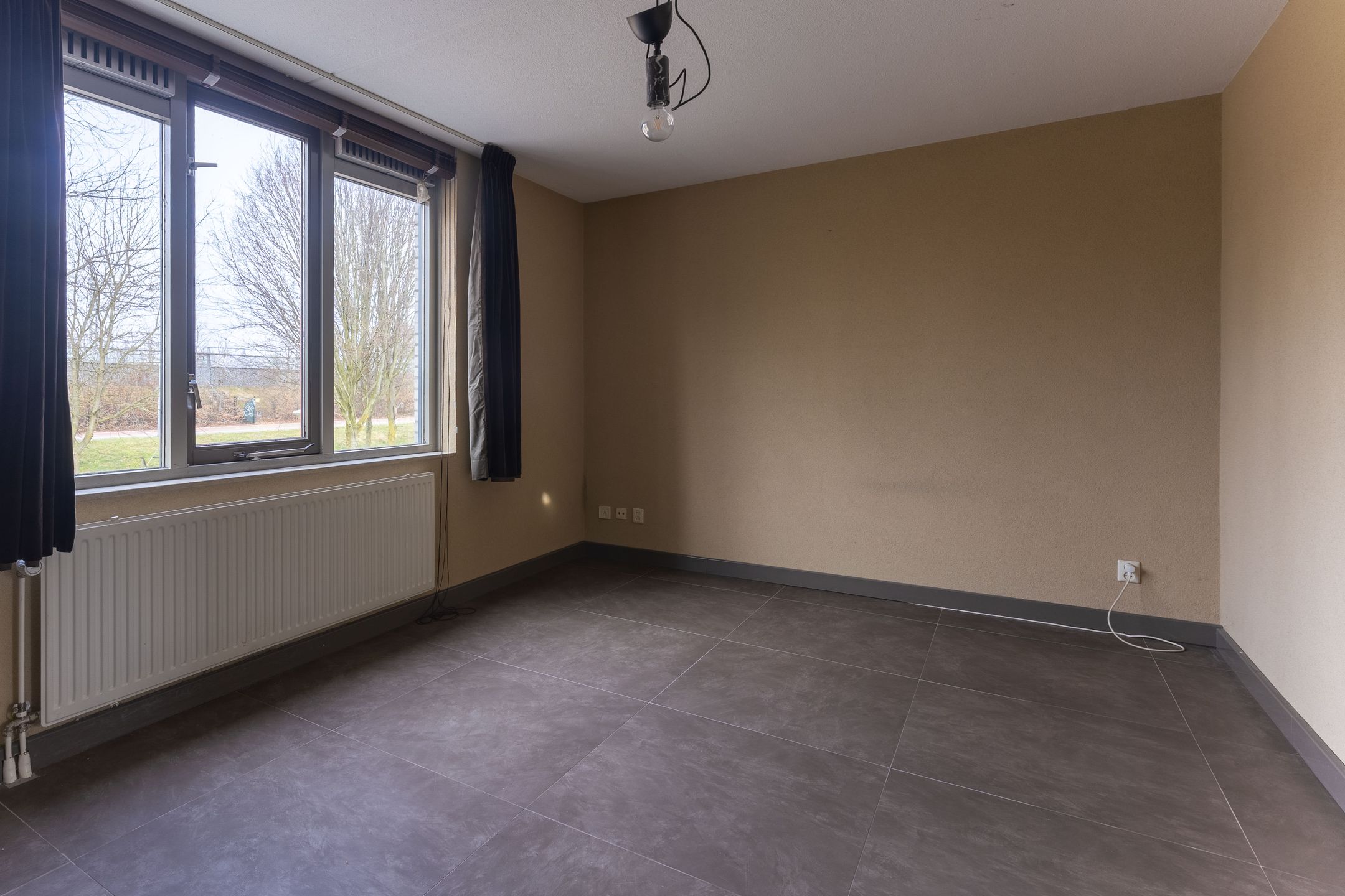 Foto 21 van Hagedisstraat 21