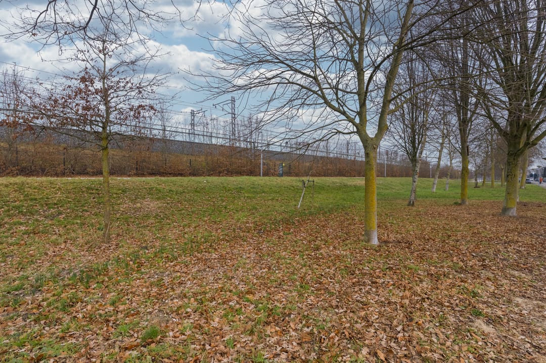 Foto 37 van Hagedisstraat 21