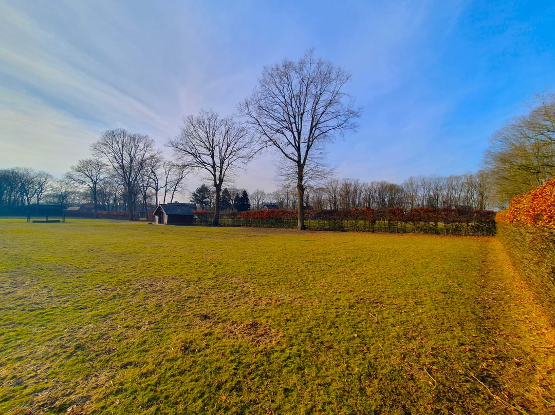 Foto 2 van Meidoornweg