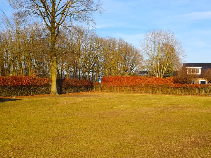 Foto 5 van Meidoornweg