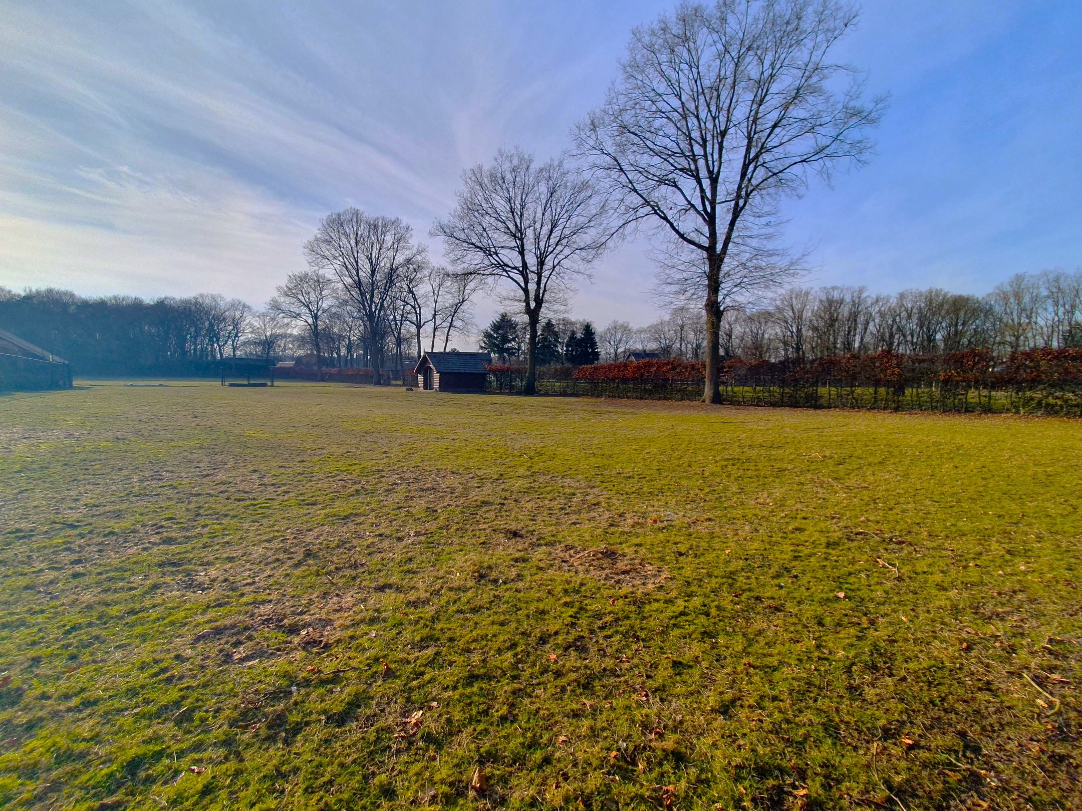 Foto 6 van Meidoornweg