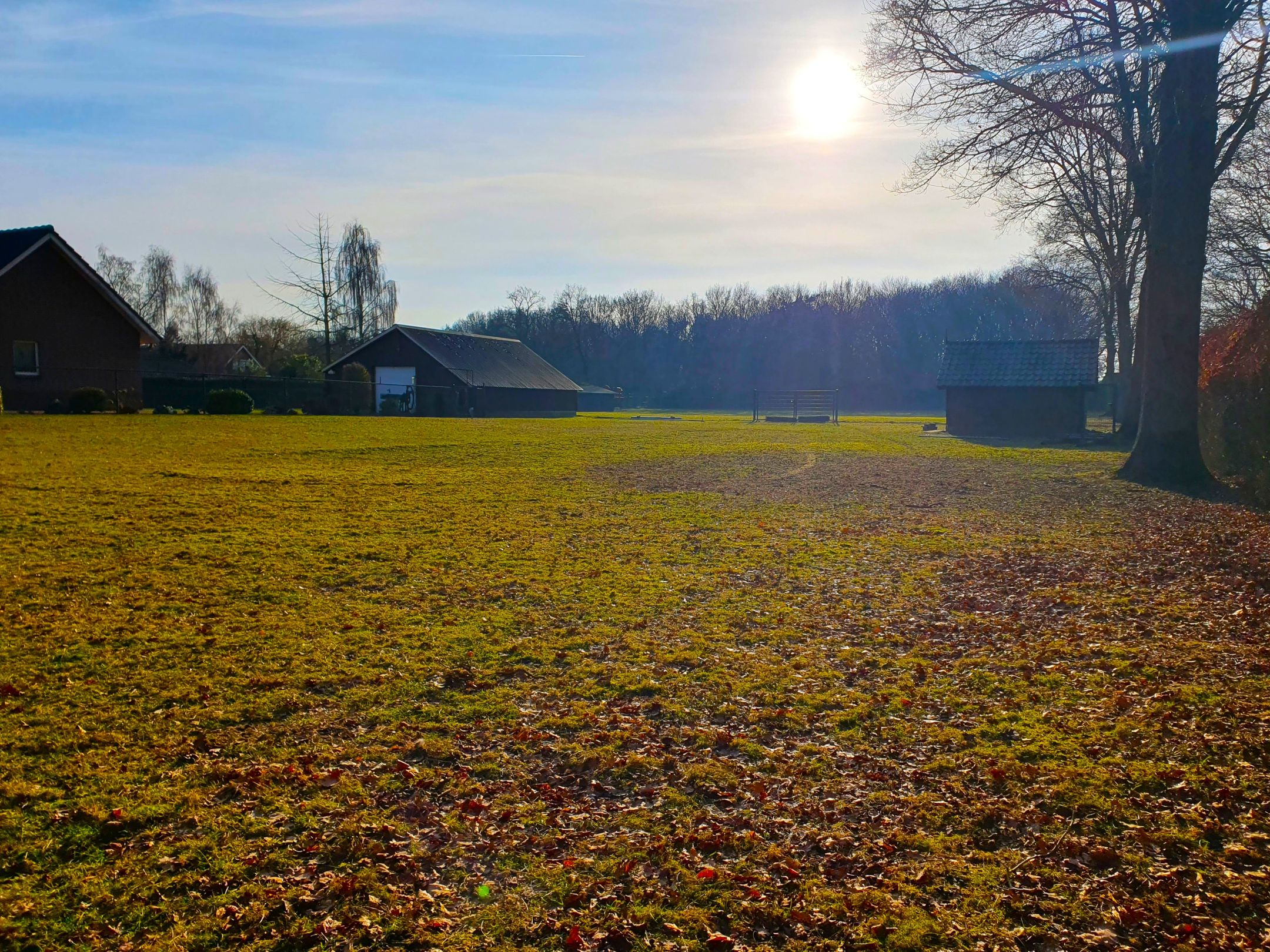 Foto 9 van Meidoornweg