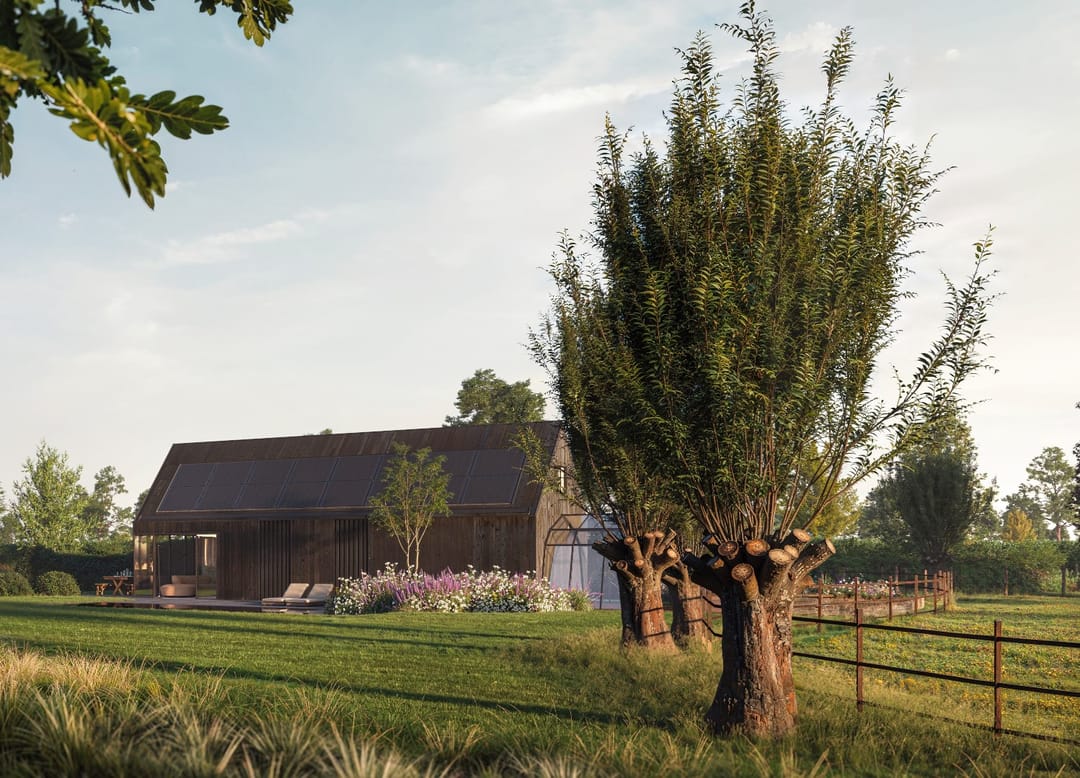 Foto 2 van Heilleweg 23