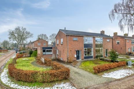 undefined main image