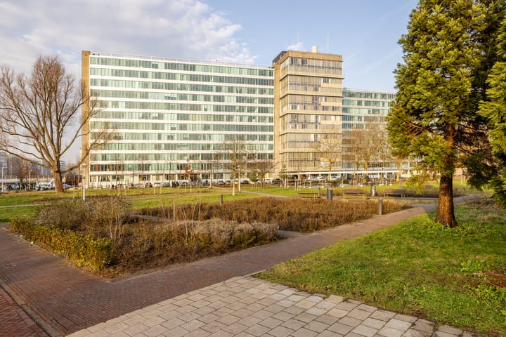 Bos en Lommerplantsoen 81 N