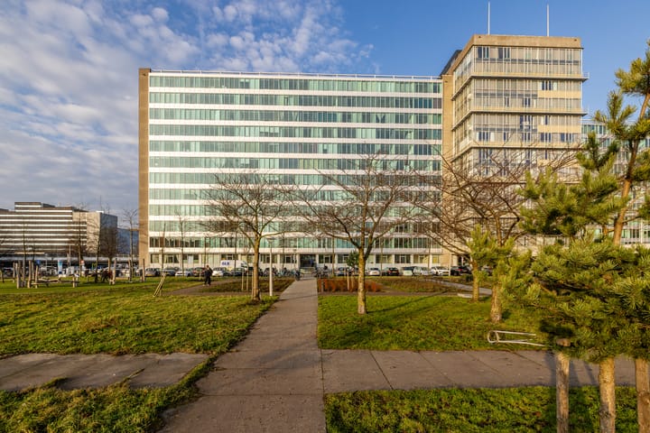 Photo 2 of Bos en Lommerplantsoen 81-N