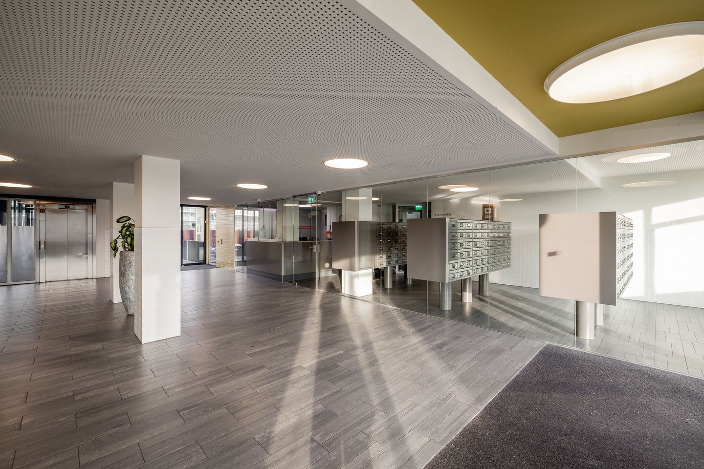 Photo 4 of Bos en Lommerplantsoen 81-N