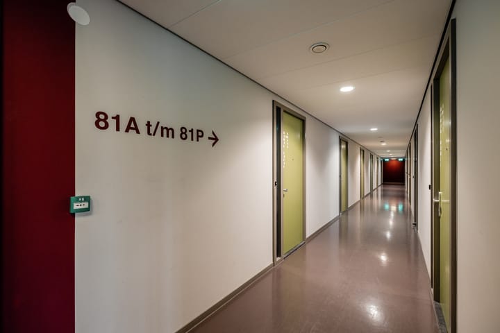 Photo 5 of Bos en Lommerplantsoen 81-N