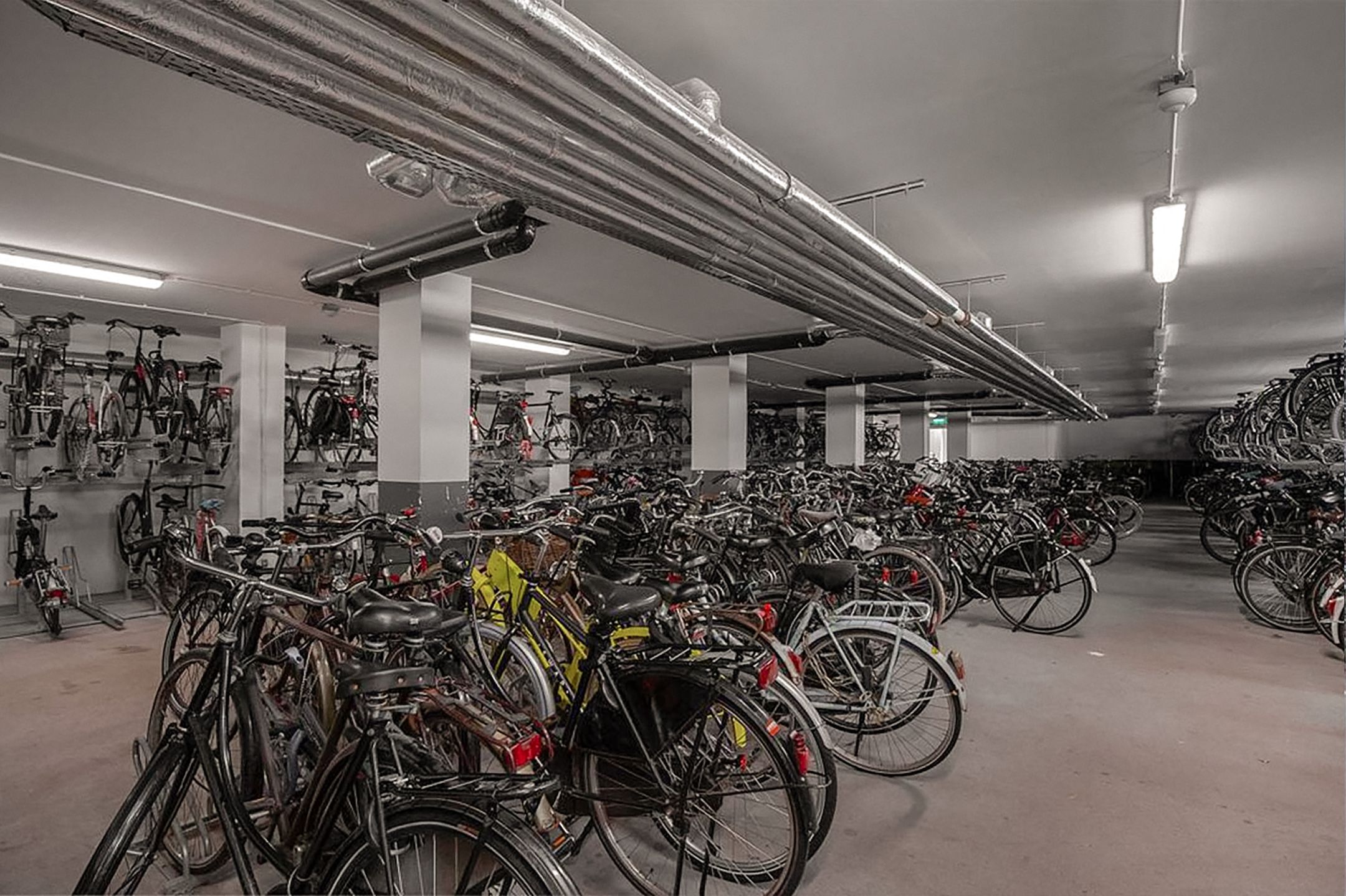 Photo 21 of Bos en Lommerplantsoen 81-N