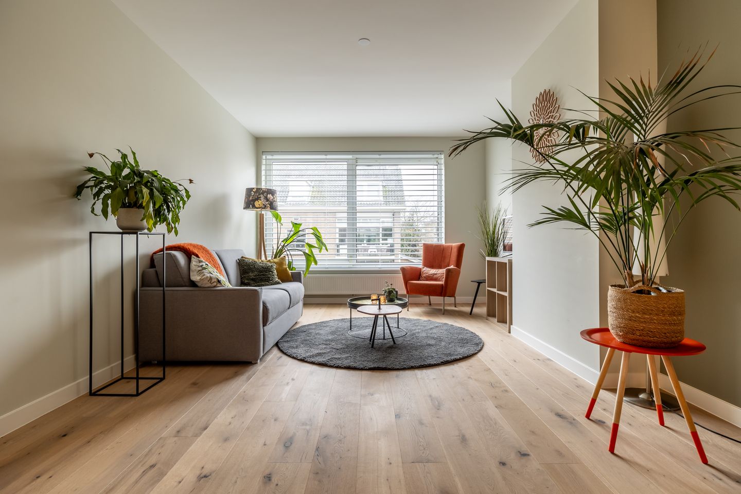 Photo 1 of Hanedoesstraat 137