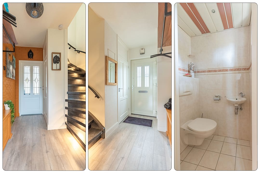 Foto 7 van Gele Berk 2